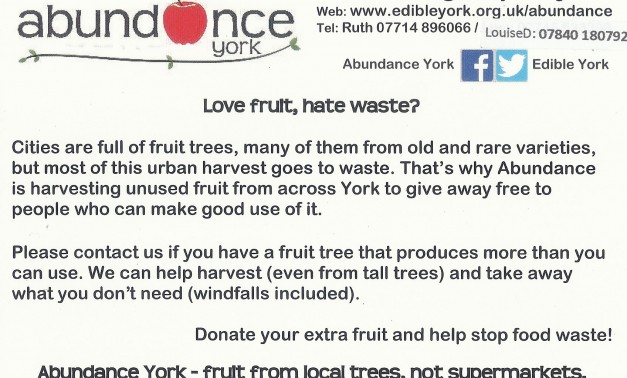 AbundanceCard2026