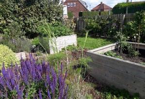 Lidgett Grove Raised Beds and Fruit