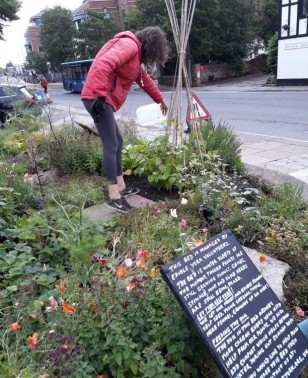 Peasholme watering