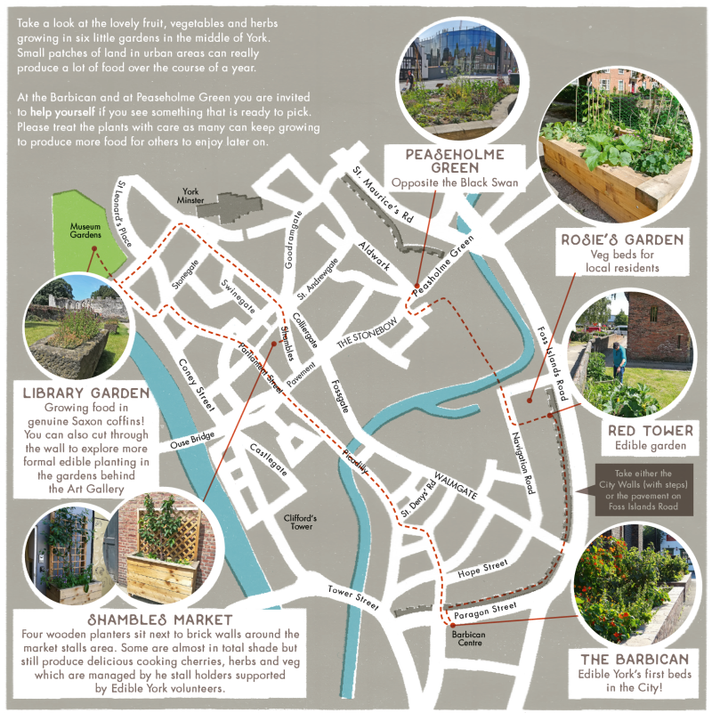 Edible Walk Map800